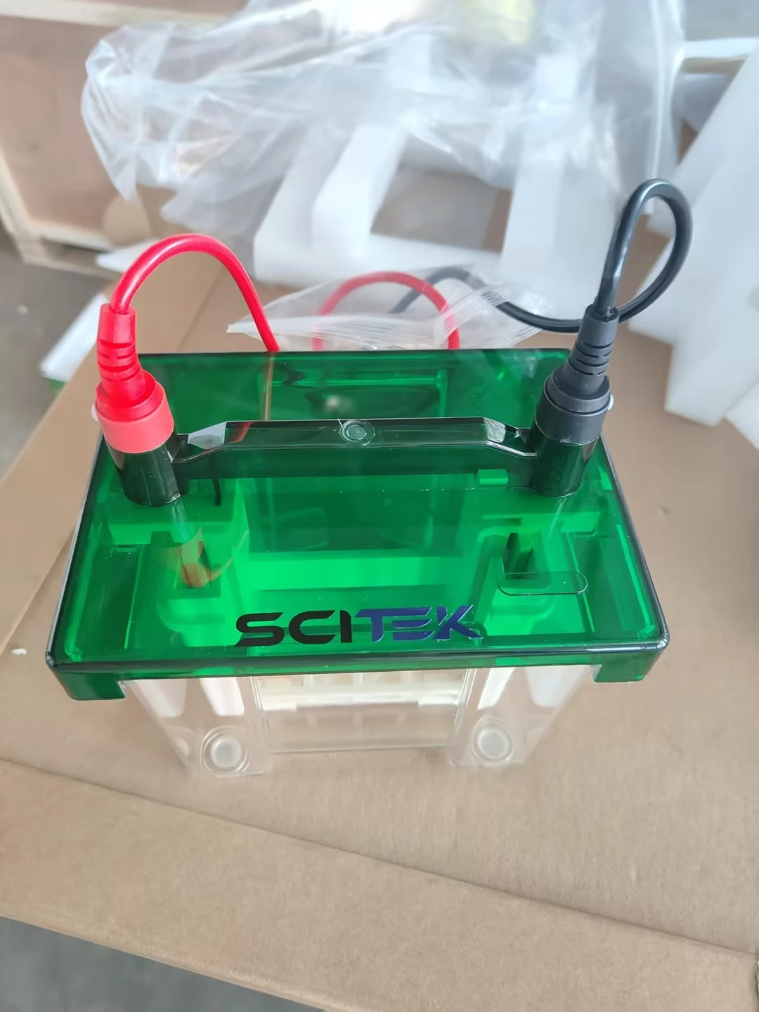 vertical electrophoresis tank display